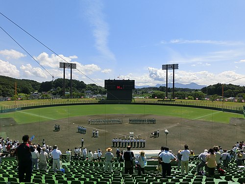 全国高等学校野球選手権岩手大会