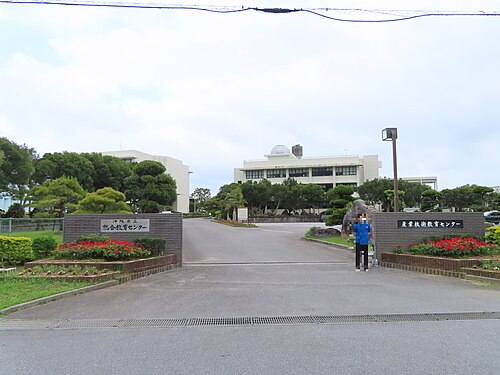 沖縄県立総合教育センター