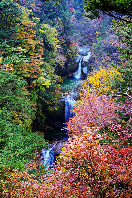 尾白川