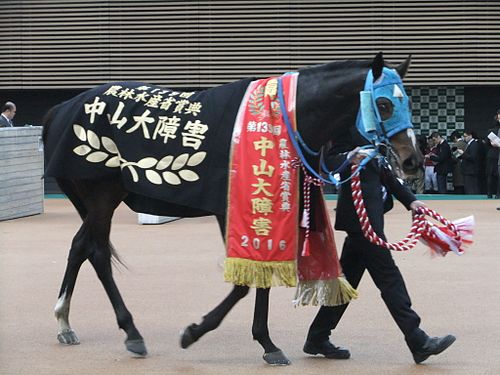 オジュウチョウサン