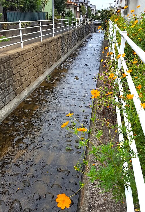 和田川