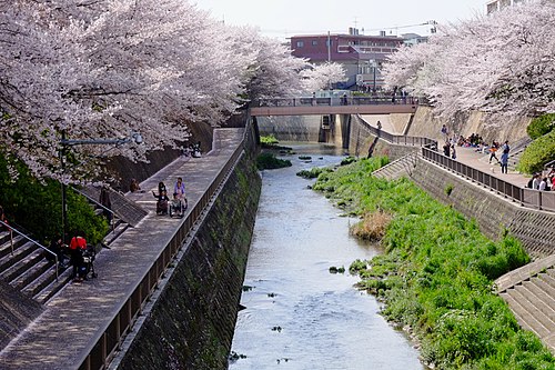石神井川