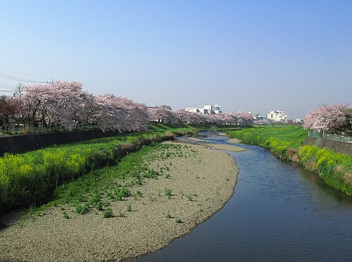 柳瀬川