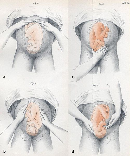 産婦人科学