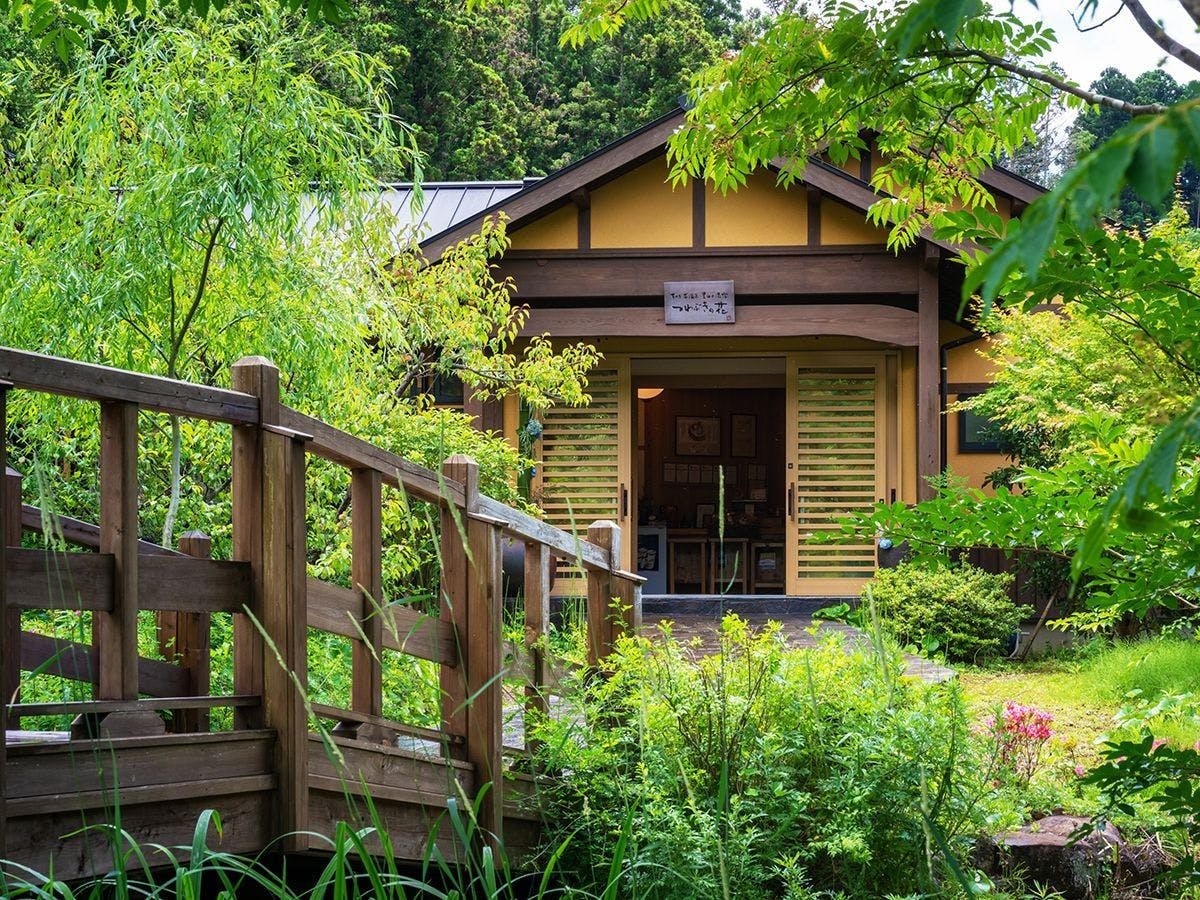 そのぎ茶温泉里山の湯宿　つわぶきの花