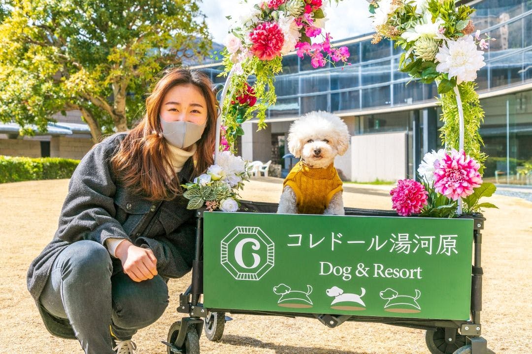 コレドール湯河原　Dog＆Resort